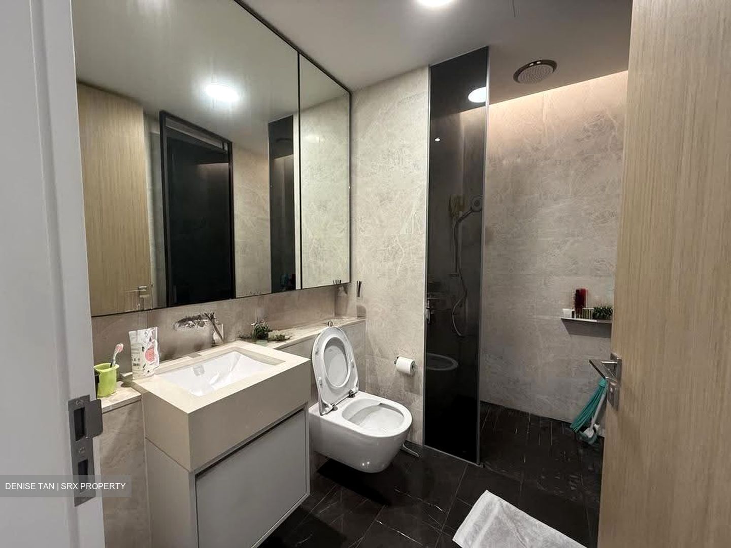 Amber Park (D15), Condominium #623727451